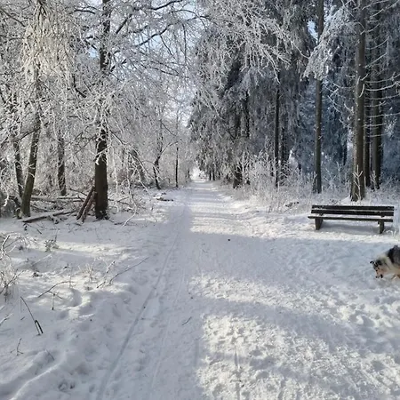 Ferienwohnung Schanzenblick Winterberg Buitenkant foto
